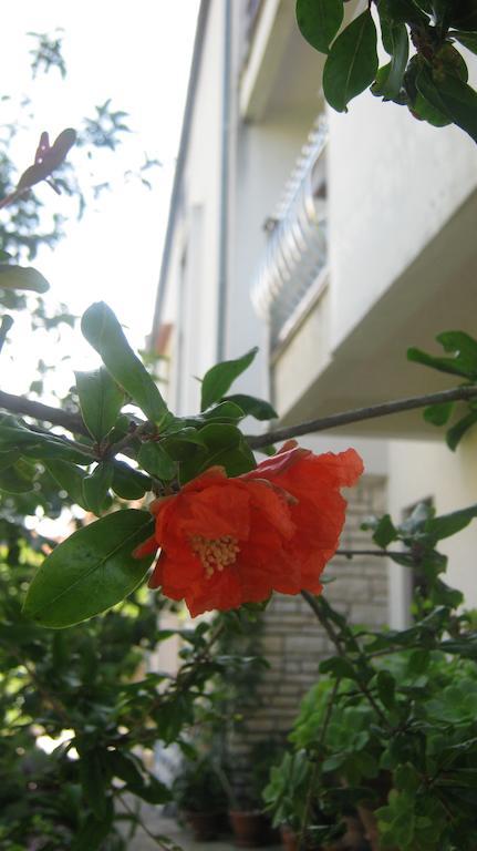 Apartments Grzunov Zadar Room photo